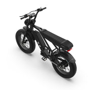 HT Fighter