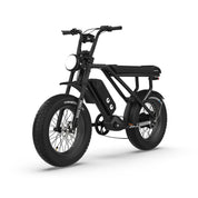 HT Fighter
