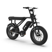 HT Fighter