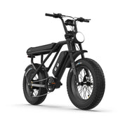 HT Fighter