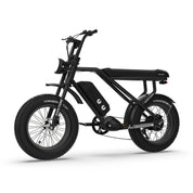 HT Fighter