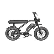 HT Fighter